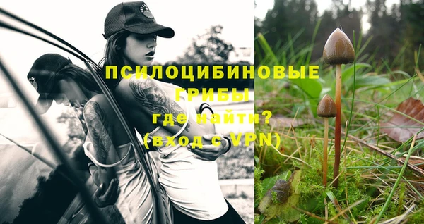 прущие крисы Каменск-Шахтинский