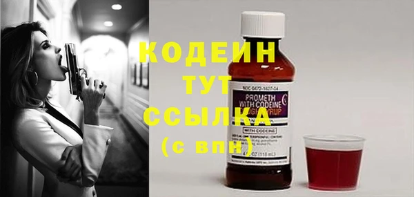 первитин Каменка