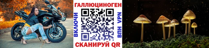 Галлюциногенные грибы Cubensis Белореченск