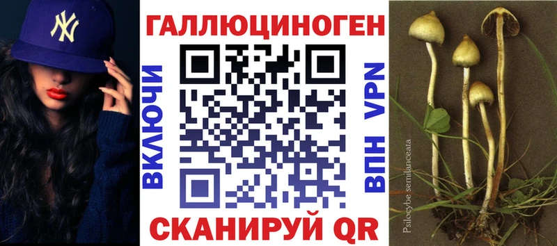 Галлюциногенные грибы Psilocybine cubensis  Купить закладки  Белореченск 